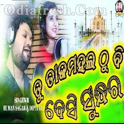 Tu Tajamahala Thu Bi Beshi Sundhar - Human Sagar